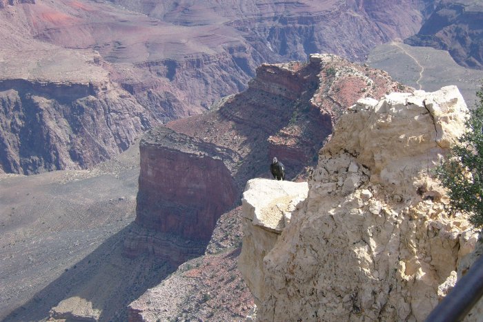 Hover Dam und Grand Canyon - 027